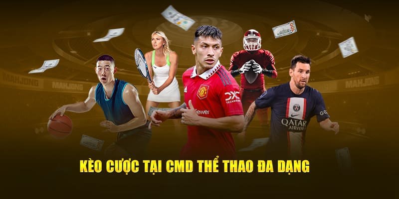 Các loại hình hot nhất tại CMD thể thao