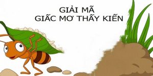 Nằm Mơ Thấy Kiến