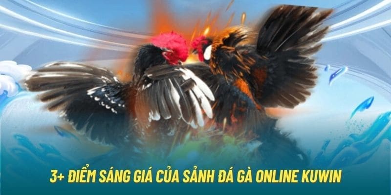 Ưu điểm của sảnh đá gà Kuwin 